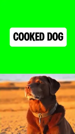 COOKED DOG