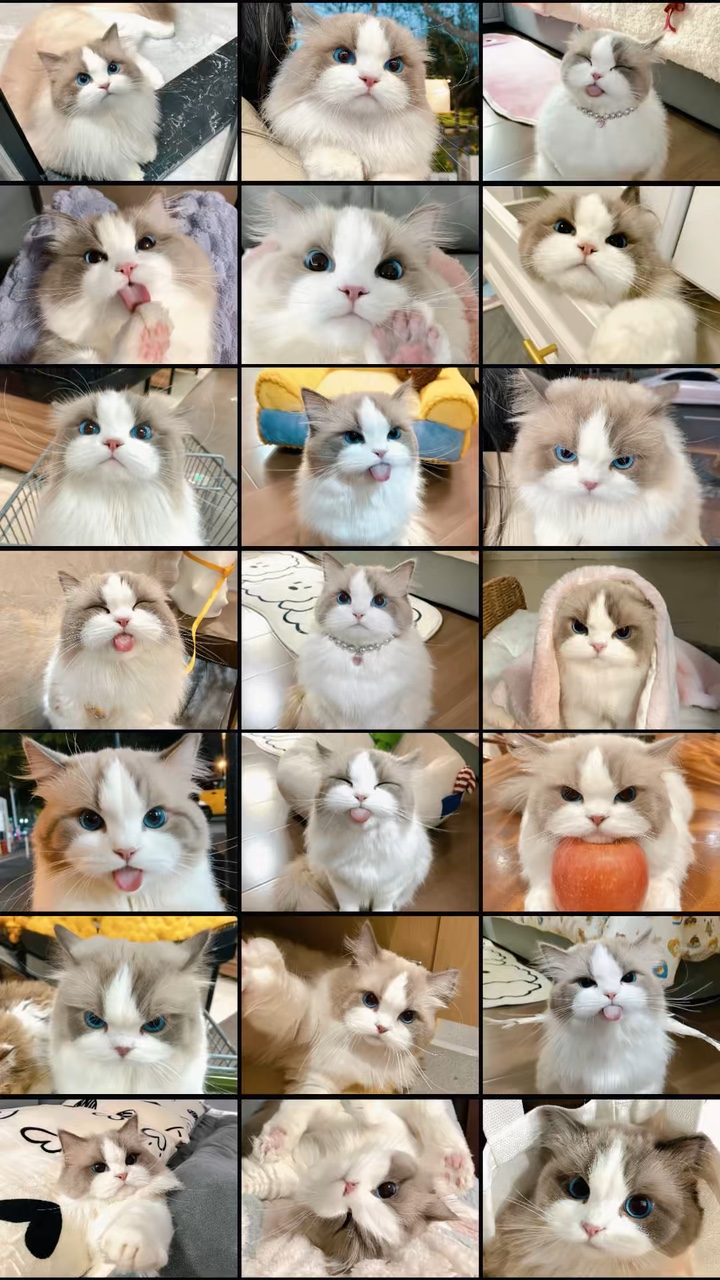 Mascota de collage