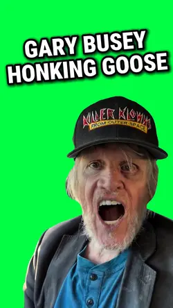 GARY BUSEY HONKING