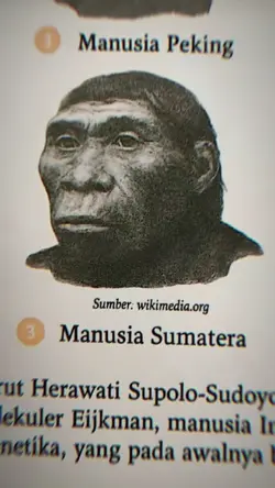 manusia Sumatera 