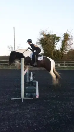 Bridleless jumping!