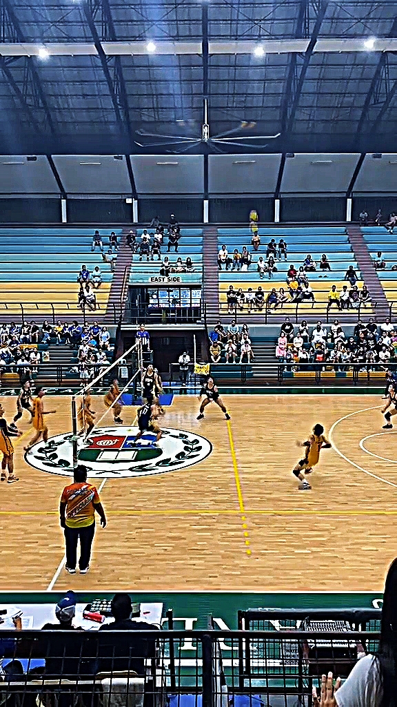 libero highlights 