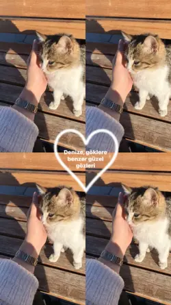 4'lü fotoğraf şablon