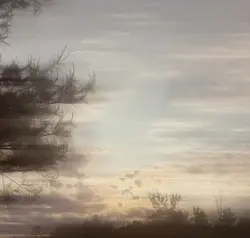 Shaky 