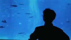 Aquarium