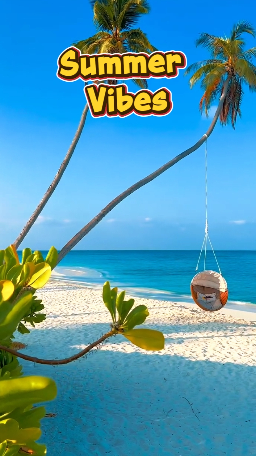 Vibrações de verão