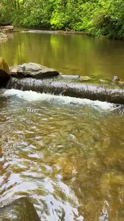 Jaan 🌿🍂🍃🍁