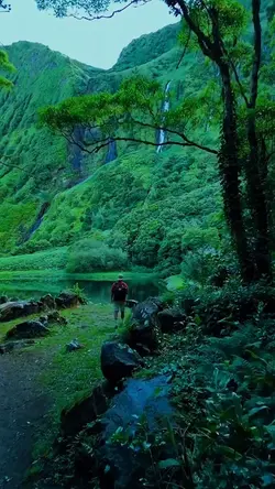 Cinematic 