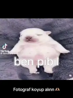 Benpibıl