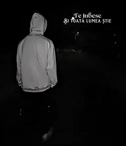 Te iubesc