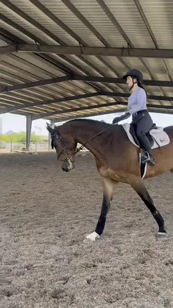 Otto🥺⚠️NOT REAL‼️‼️