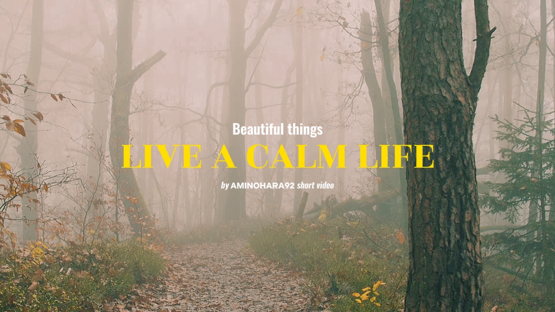 LIVE A CALM LIFE