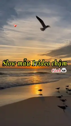 Slow mẫu 1video chậm