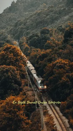 İhanetin Nedeni olmz