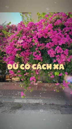 Muốn theo mây và gió