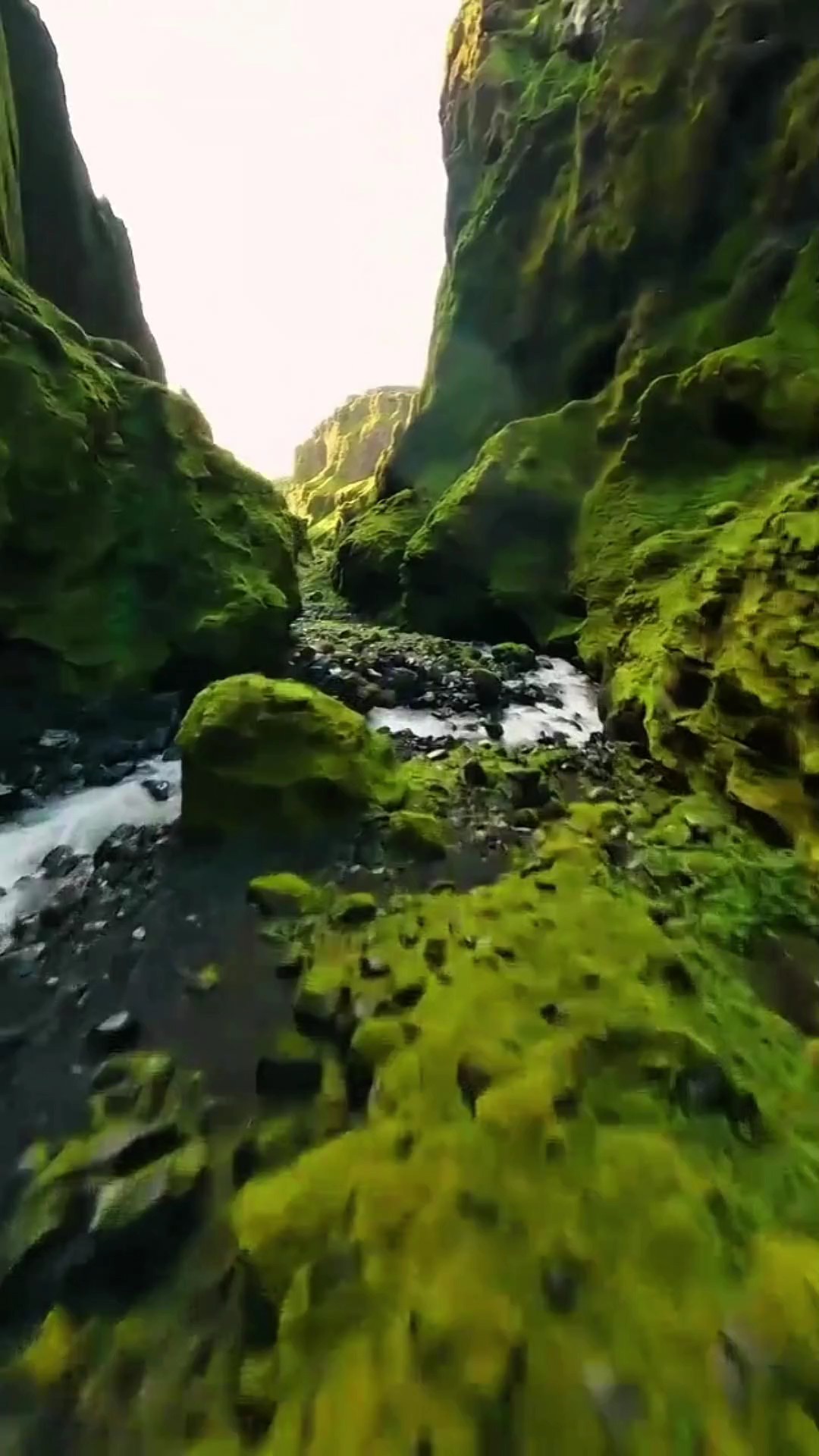 4 video or photo 