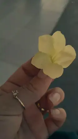a trilha