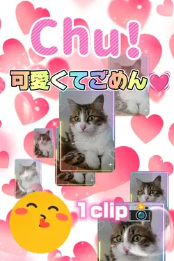 可愛くてごめん/1clip