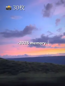 30枚で2025年の思い出を詰め込もう！