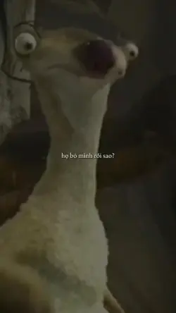 Họ bỏ mình rồi sao?