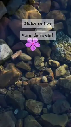 PAREI DE INSISTIR!