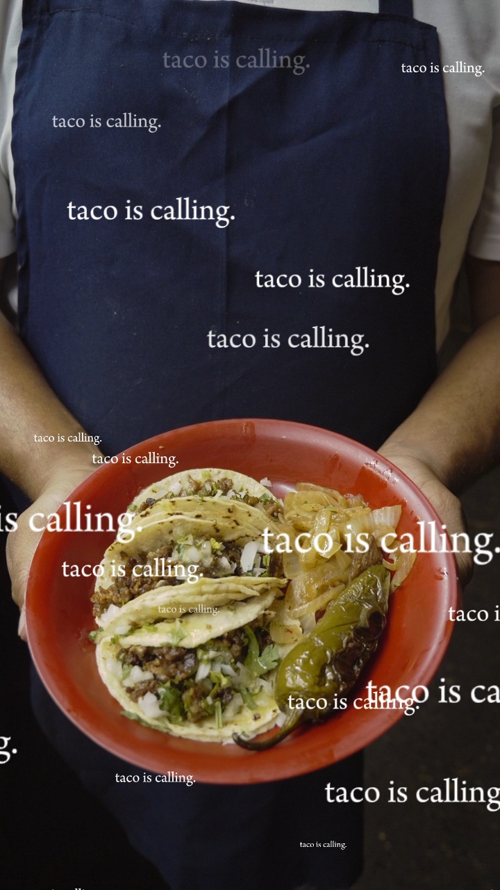 taco is calling
