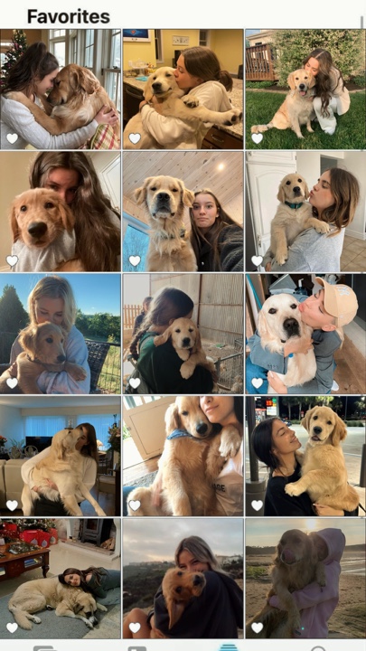 Mein Hund 