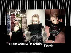 versi bertiga kucing