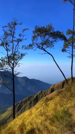 apa itu hari H