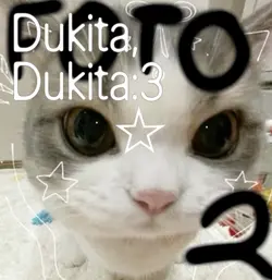 Dukita dukita 