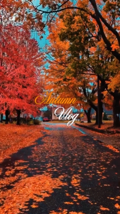 HERBST-VLOG
