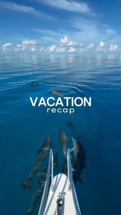 Vacation recap