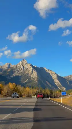 Aesthetic road