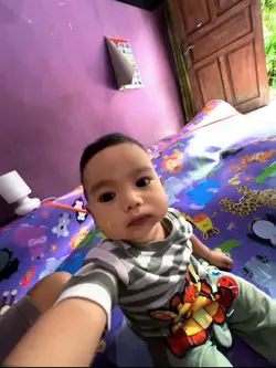 fotolive lemon nipis