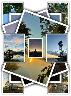 10Pic Tran Aesthetic