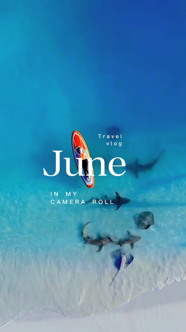 JuneDump