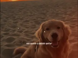 mas quando a sdd