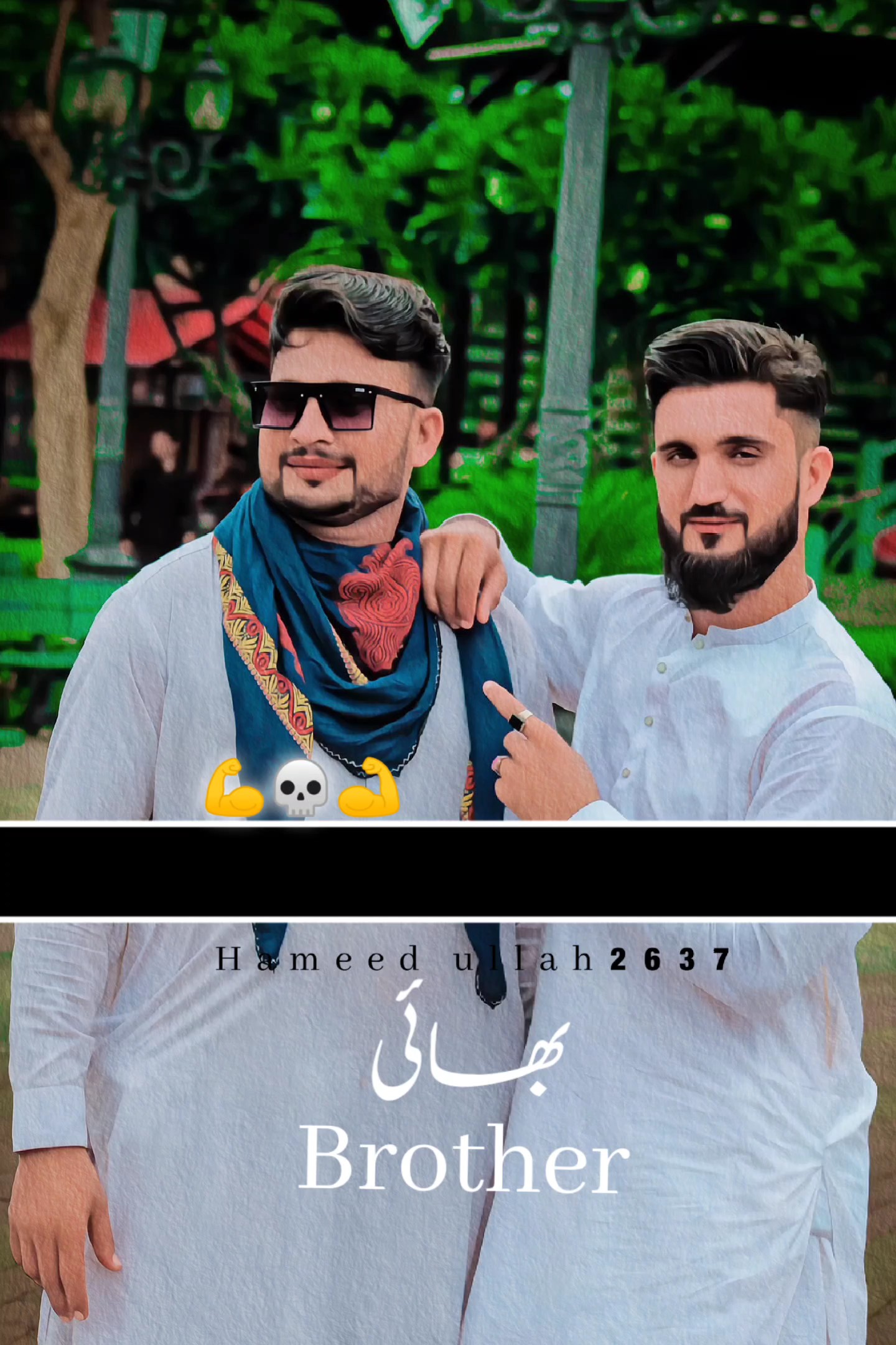 Cover Picture