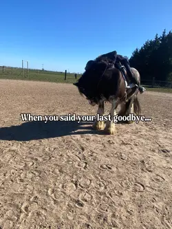 last goodbye 