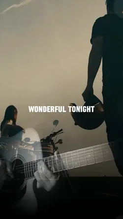 WONDERFUL TONIGHT