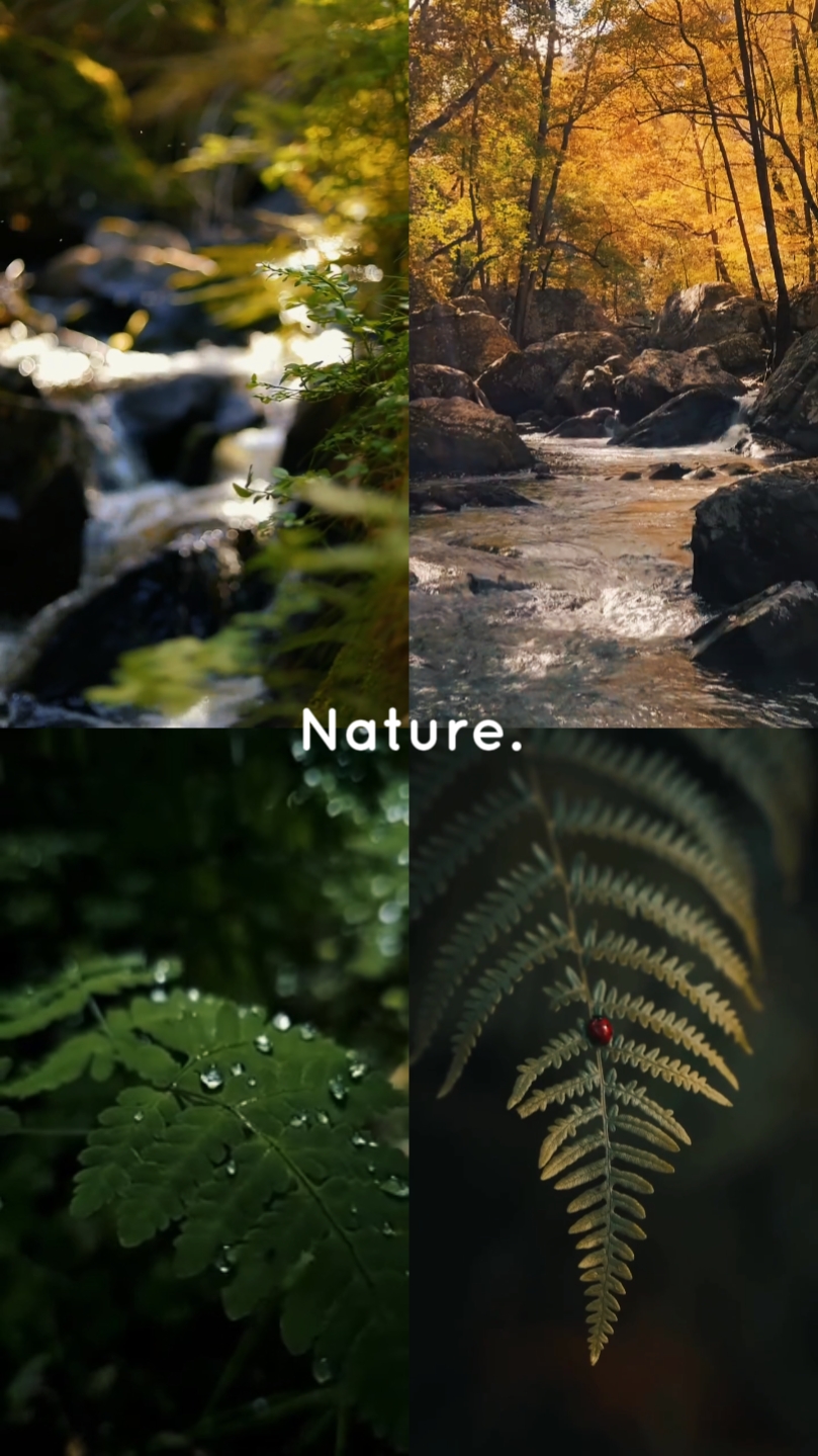 Nature.