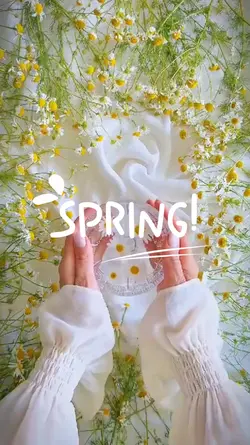 spring V. 3