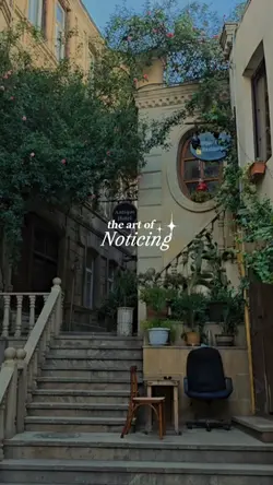 the art of noticing 