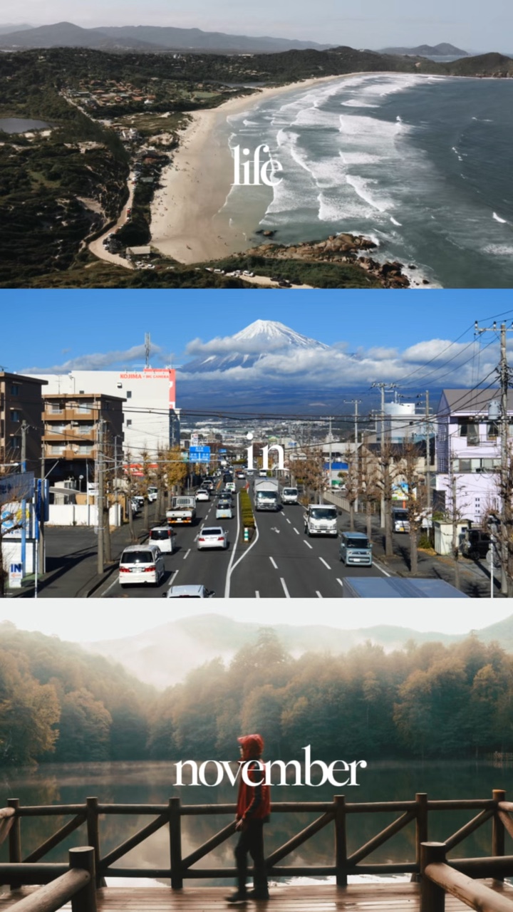 life in november