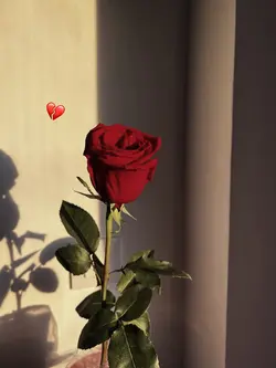 🥺💔