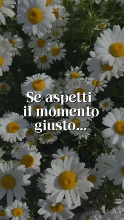 Modello 178