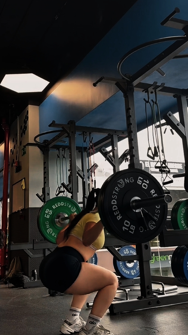 GIMNASIO 5 CLIPS