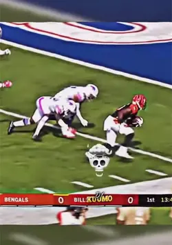 The nfl is crazy