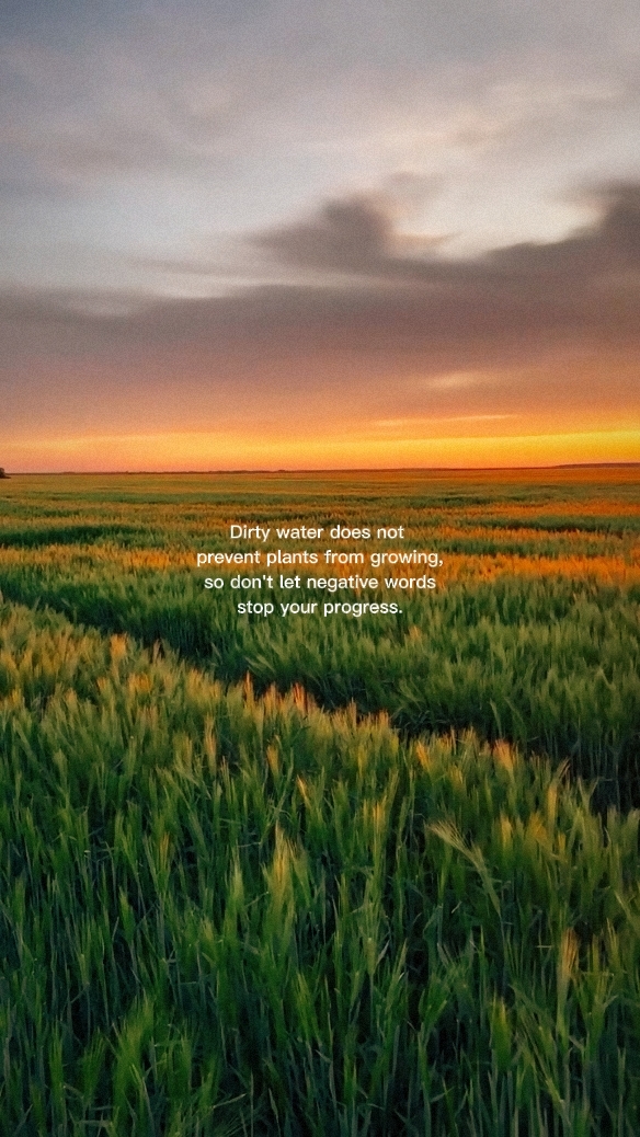 Ang iyong pag-unlad