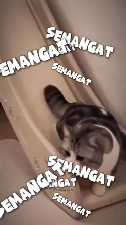 Status Hari Ini
